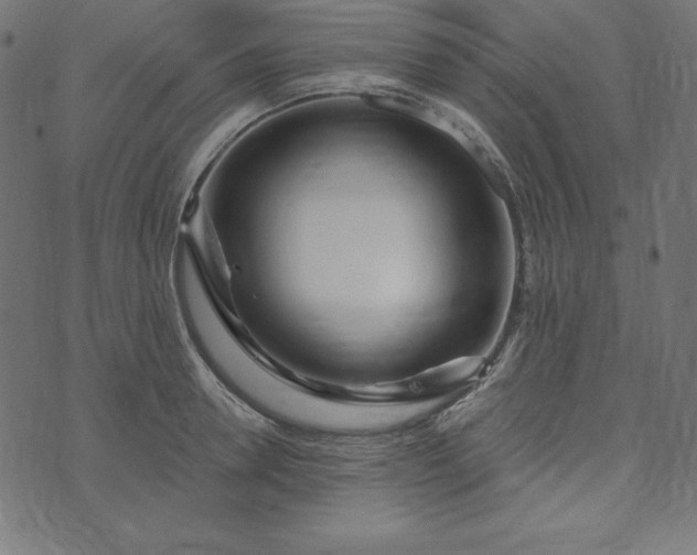 X0000073710946200608171135