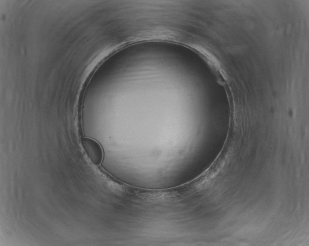 X0000073710949200608171135