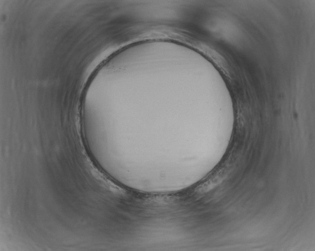 X0000073710950200608171135