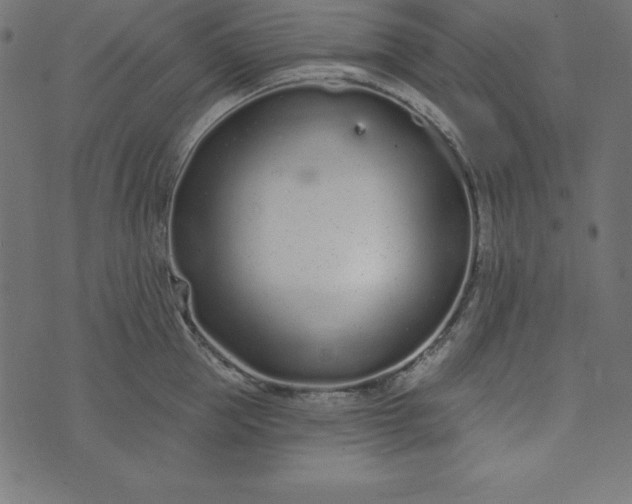 X0000073710953200608171135