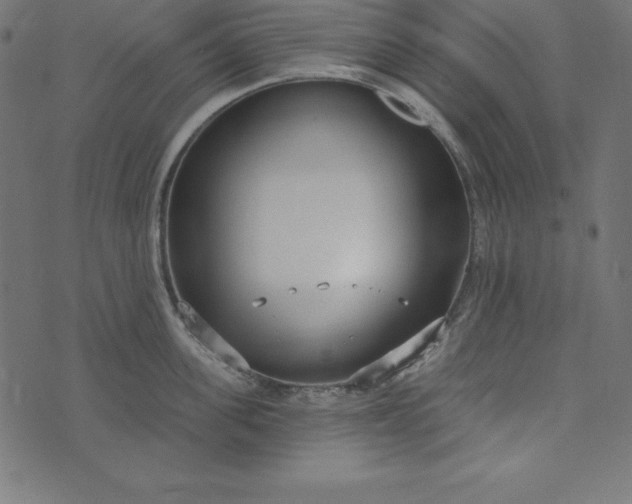 X0000073710955200608171135