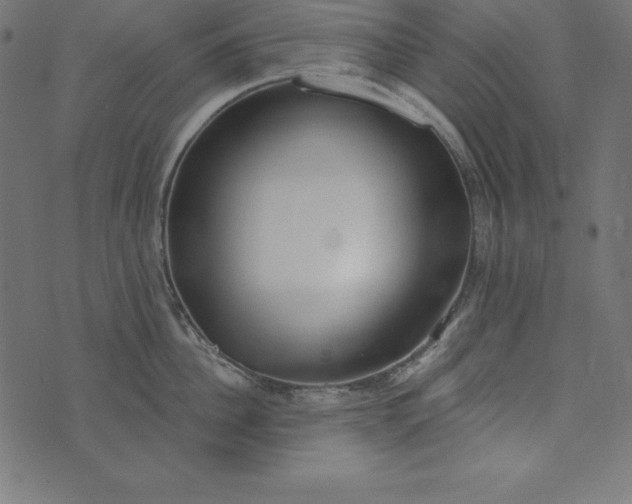 X0000073710956200608171135