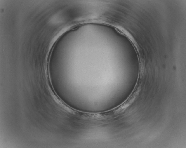 X0000073710957200608171135