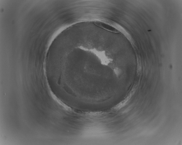 X0000073710958200608171135