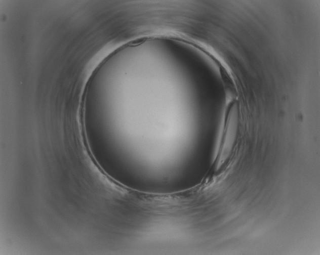 X0000073710959200608171135