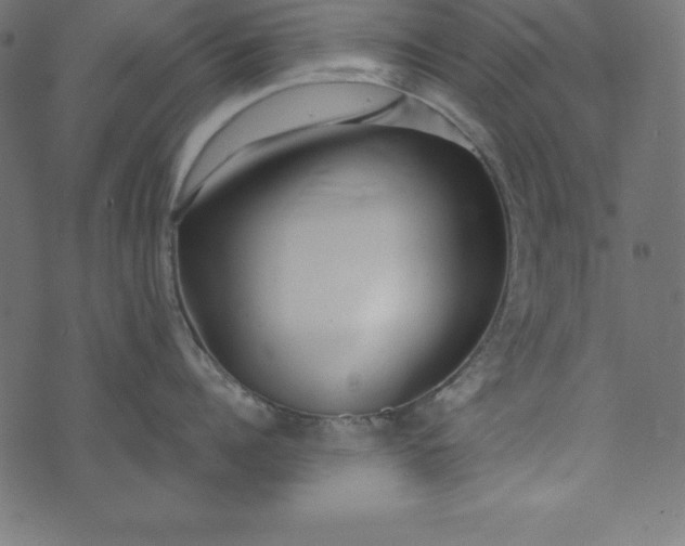 X0000073710960200608171135