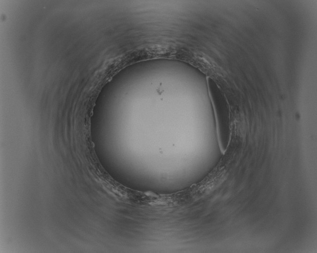 X0000073710961200608171134