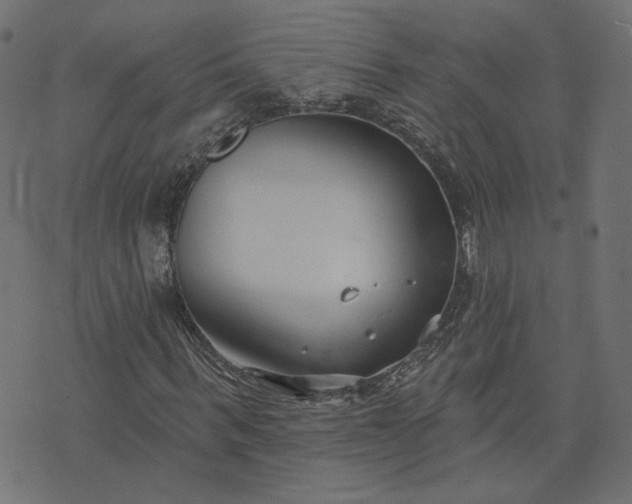 X0000073710963200608171134