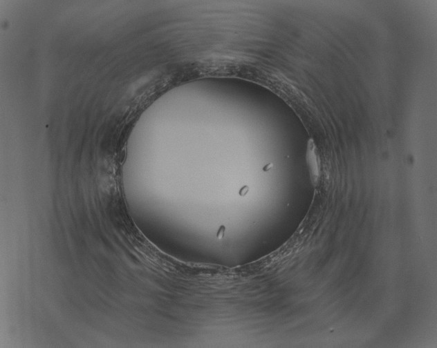 X0000073710964200608171134