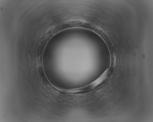 X0000073710965200608171134