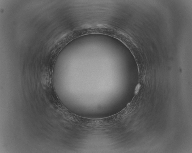 X0000073710966200608171134