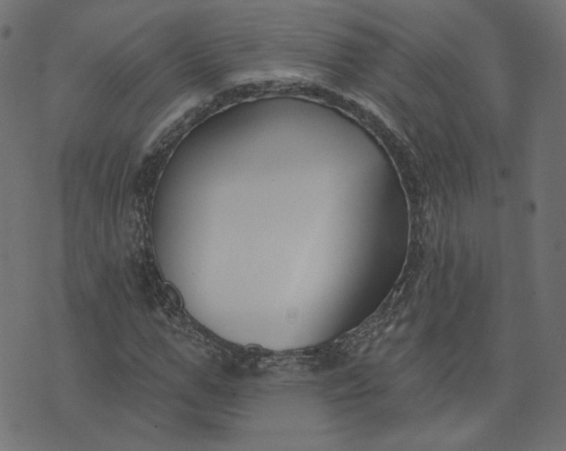 X0000073710967200608171134