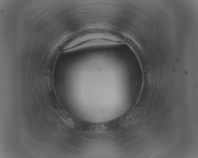 X0000073710968200608171134