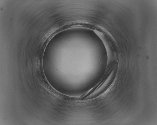 X0000073710969200608171134