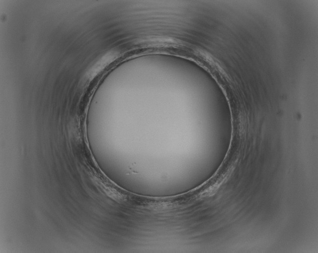 X0000073710970200608171134