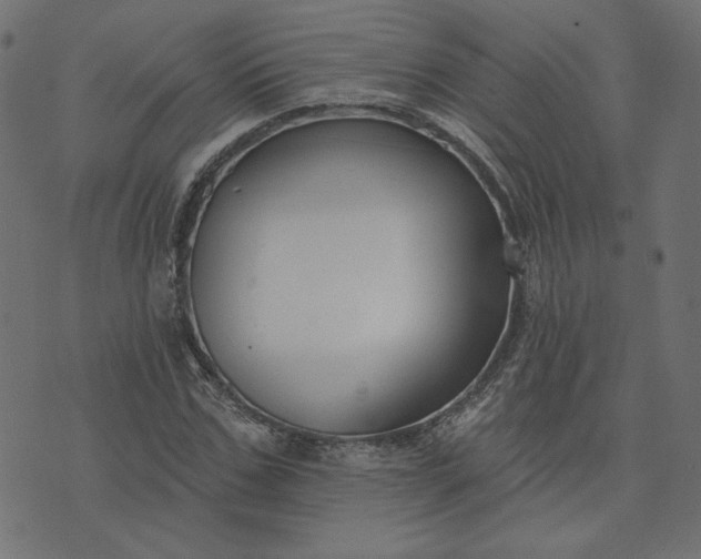 X0000073710971200608171134