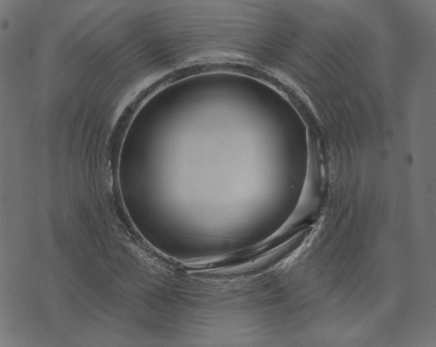 X0000073710973200608171134