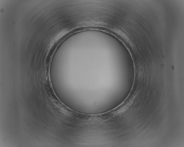 X0000073710974200608171134