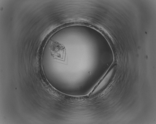 X0000073710975200608171134