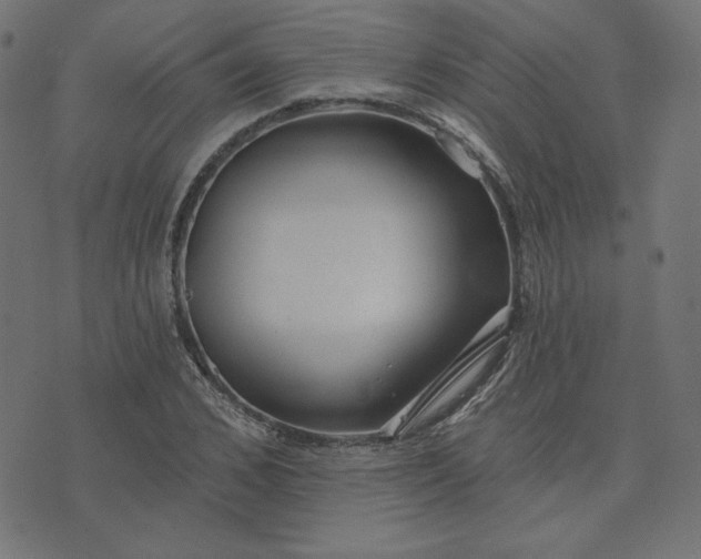 X0000073710976200608171134