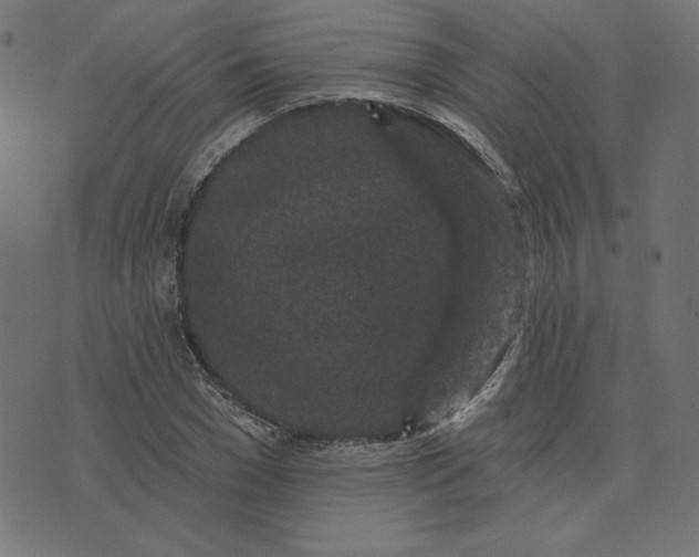 X0000073710977200608171134