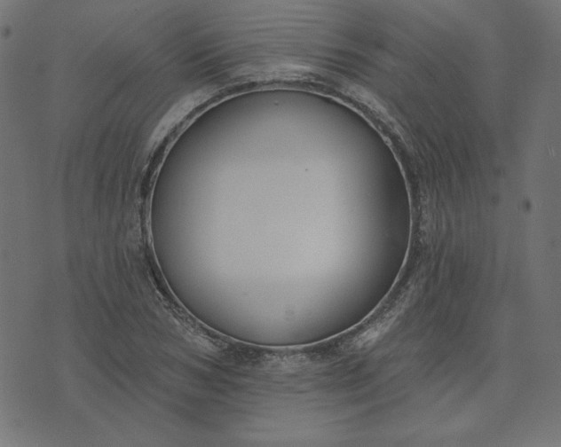 X0000073710978200608171134