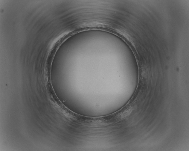 X0000073710979200608171134