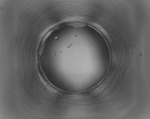 X0000073710980200608171134