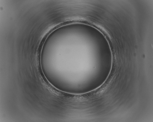 X0000073710983200608171134