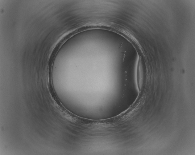 X0000073710984200608171134