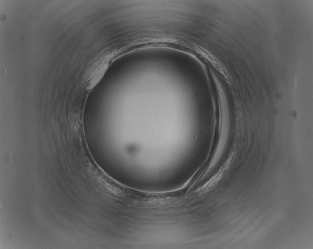 X0000073710985200608171134