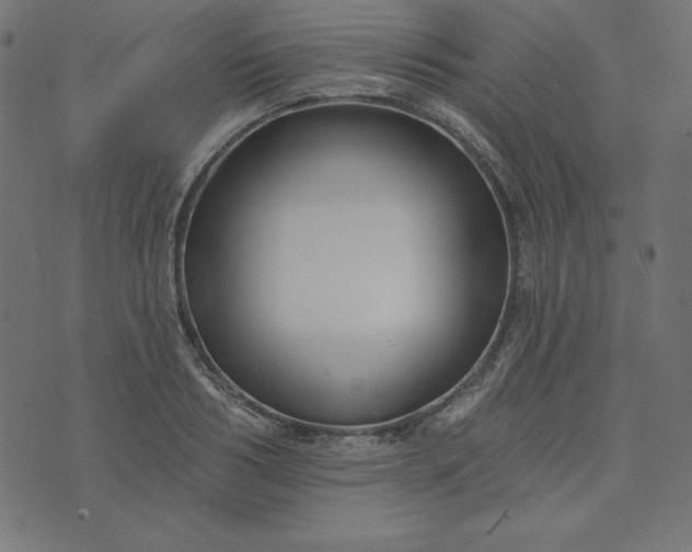 X0000073710986200608171134