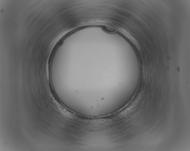 X0000073710988200608171134