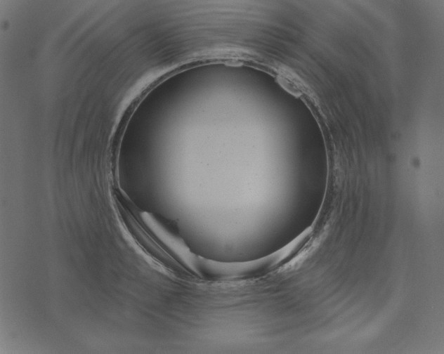 X0000073710989200608171134