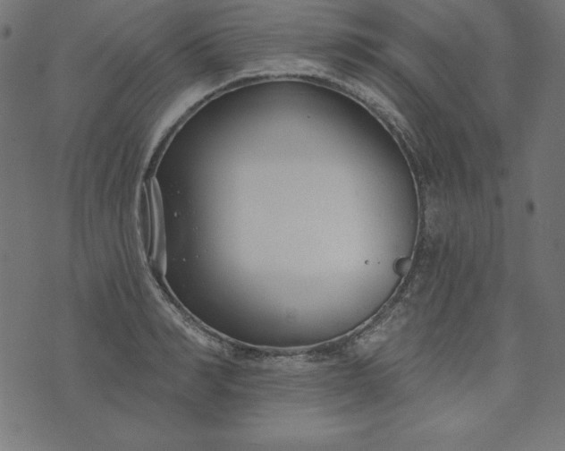 X0000073710990200608171134