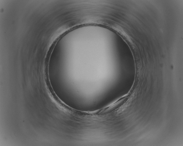 X0000073710991200608171134