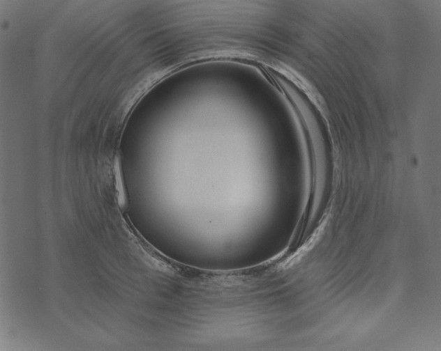 X0000073710993200608171133