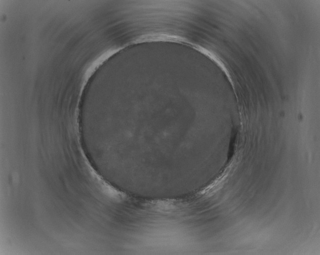 X0000073710995200608171133