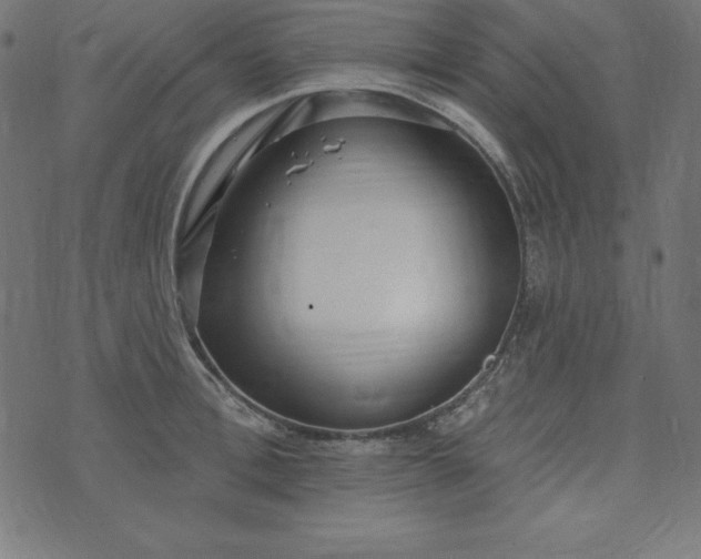 X0000073710996200608171133