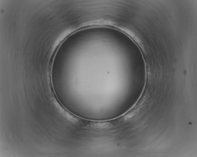 X0000073710998200608171133