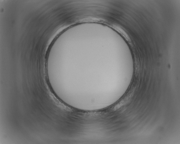 X0000073711000200608171133