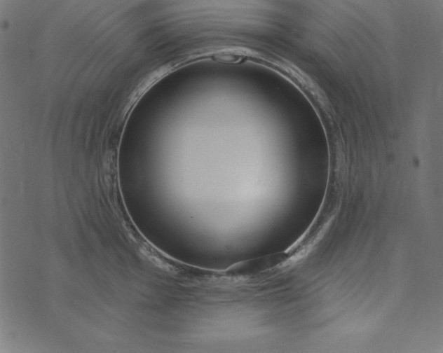 X0000073711001200608171133