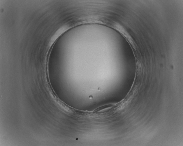 X0000073711002200608171133