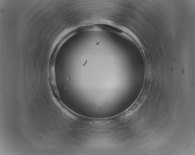 X0000073711005200608171133