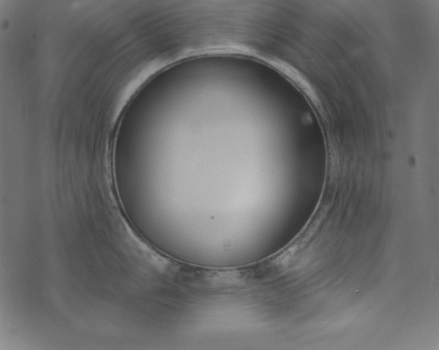 X0000073711006200608171133