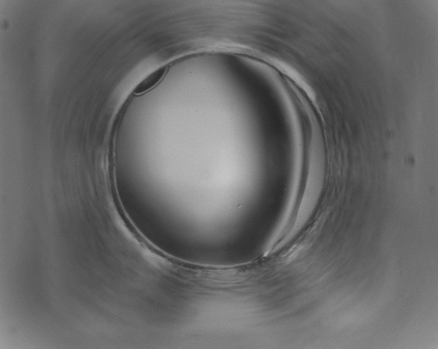 X0000073711007200608171133