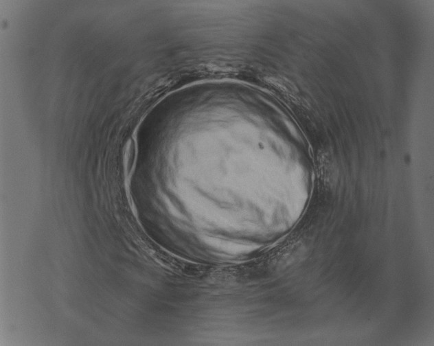 X0000073711009200608171132