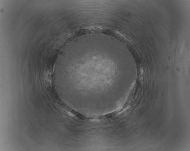 X0000073711010200608171132