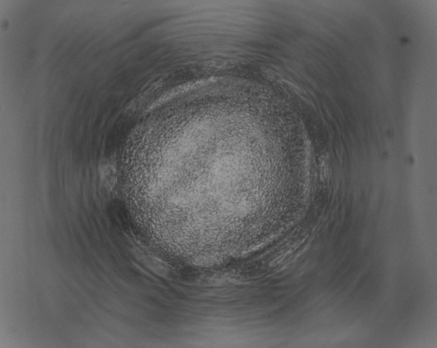 X0000073711011200608171132