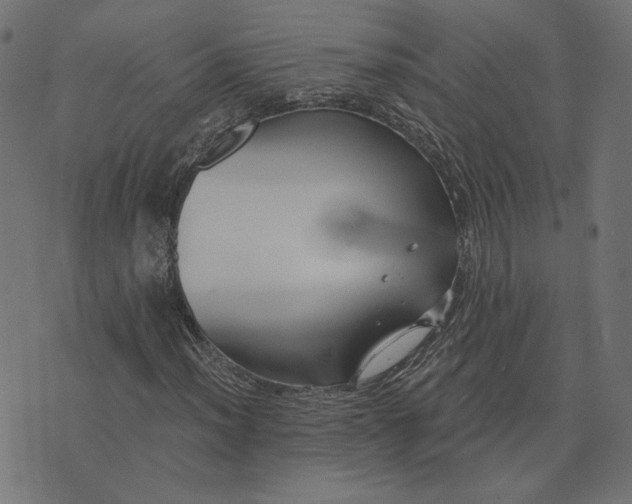 X0000073711012200608171132